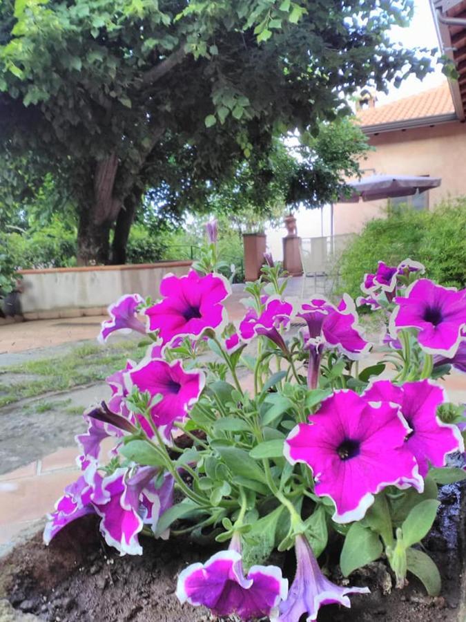 La Corte Di Bafe B&B "Slow Life" Zafferana Etnea Exterior foto